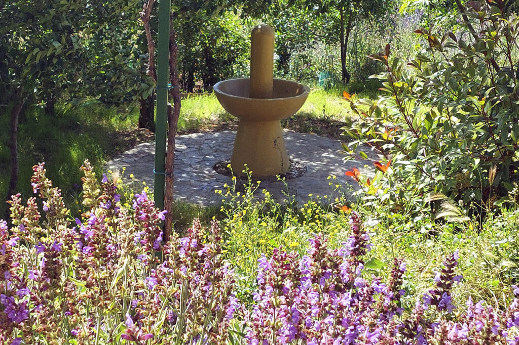 La Fuente en primavera en el Parque Navas del Rey