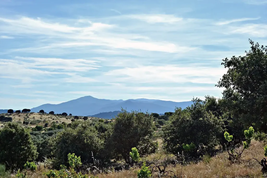 Entorno natural del Parque Navas del Rey