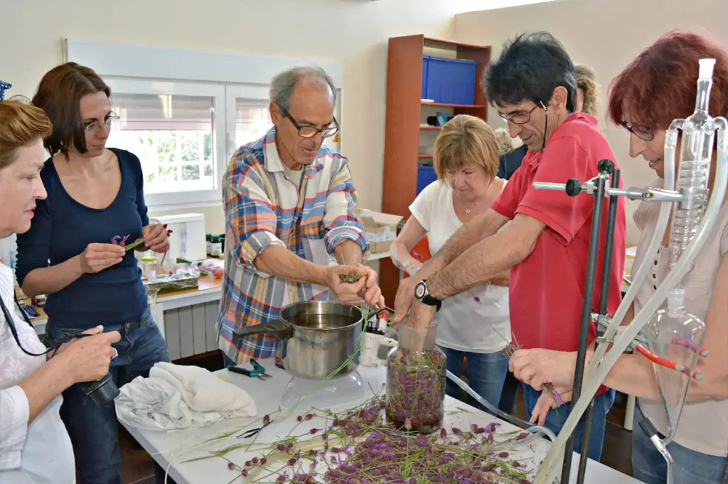 Taller del Perfumería en el Parque Navas del Rey